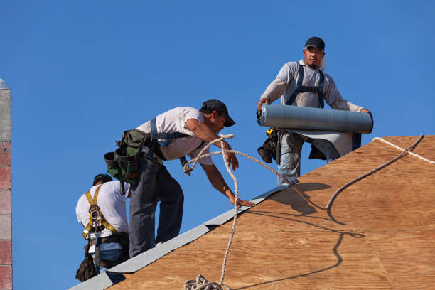 Best Roof Restoration Services  in Mcadoo, PA