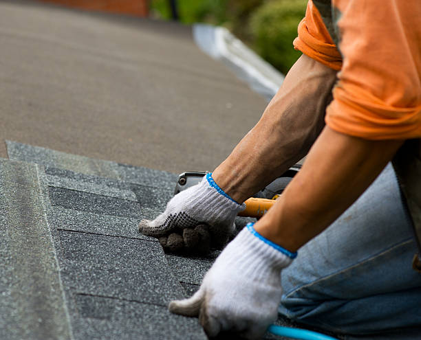 Best Roof Leak Repair  in Mcadoo, PA